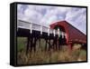 Woman on Roseman Bridge, Madison County, Iowa, USA-Bill Bachmann-Framed Stretched Canvas