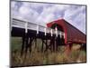 Woman on Roseman Bridge, Madison County, Iowa, USA-Bill Bachmann-Mounted Photographic Print