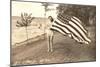 Woman on Shore Holding Flag-null-Mounted Art Print