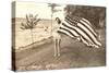 Woman on Shore Holding Flag-null-Stretched Canvas