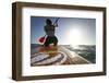 Woman on Stand Up Paddle-Board Heads into the Sunset at San Onofre Beach, San Clemente, California-Louis Arevalo-Framed Photographic Print