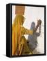Woman Painting Design on a Wall in a Village Near Jaisalmer, Rajasthan State, India-Bruno Morandi-Framed Stretched Canvas