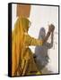 Woman Painting Design on a Wall in a Village Near Jaisalmer, Rajasthan State, India-Bruno Morandi-Framed Stretched Canvas