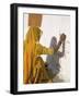 Woman Painting Design on a Wall in a Village Near Jaisalmer, Rajasthan State, India-Bruno Morandi-Framed Photographic Print