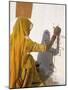 Woman Painting Design on a Wall in a Village Near Jaisalmer, Rajasthan State, India-Bruno Morandi-Mounted Photographic Print