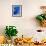 Woman Painting Her House, Jodhpur, Rajasthan, India-Bruno Morandi-Framed Photographic Print displayed on a wall