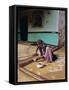 Woman Painting the Wall of a Village House, Tonk Region, Rajasthan, India-Bruno Morandi-Framed Stretched Canvas