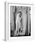 White Frame