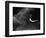 Woman Performing Swan Dive-Bettmann-Framed Photographic Print