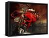 Woman Playing a Magical Violin to Call Out a Red Dragon-Stocktrek Images-Framed Stretched Canvas