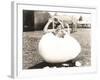 Woman Popping Out of Giant Egg-null-Framed Photo