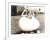 Woman Popping Out of Giant Egg-null-Framed Photo