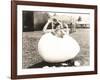 Woman Popping Out of Giant Egg-null-Framed Photo