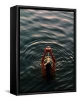 Woman Pouring Water During Morning Puja on Ganges, Varanasi, India-Anthony Plummer-Framed Stretched Canvas