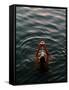 Woman Pouring Water During Morning Puja on Ganges, Varanasi, India-Anthony Plummer-Framed Stretched Canvas