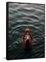 Woman Pouring Water During Morning Puja on Ganges, Varanasi, India-Anthony Plummer-Framed Stretched Canvas