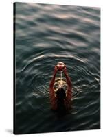 Woman Pouring Water During Morning Puja on Ganges, Varanasi, India-Anthony Plummer-Stretched Canvas