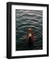 Woman Pouring Water During Morning Puja on Ganges, Varanasi, India-Anthony Plummer-Framed Photographic Print