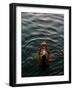 Woman Pouring Water During Morning Puja on Ganges, Varanasi, India-Anthony Plummer-Framed Photographic Print
