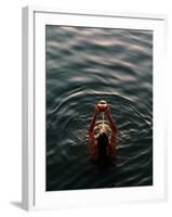 Woman Pouring Water During Morning Puja on Ganges, Varanasi, India-Anthony Plummer-Framed Photographic Print