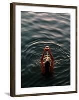 Woman Pouring Water During Morning Puja on Ganges, Varanasi, India-Anthony Plummer-Framed Photographic Print