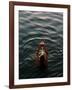 Woman Pouring Water During Morning Puja on Ganges, Varanasi, India-Anthony Plummer-Framed Photographic Print