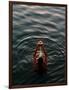 Woman Pouring Water During Morning Puja on Ganges, Varanasi, India-Anthony Plummer-Framed Photographic Print