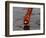 Woman Praying on the Banks of the River Ganges Fills Water into a Copper Vessel for a Ritual-null-Framed Photographic Print