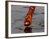 Woman Praying on the Banks of the River Ganges Fills Water into a Copper Vessel for a Ritual-null-Framed Photographic Print