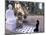 Woman Praying to Buddha, Vinh Trang Pagoda, My Tho City, Vietnam-Bill Bachmann-Mounted Photographic Print