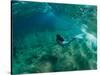 Woman Pretending to Be a Mermaid Swimming Underwater, Hawaii, USA-null-Stretched Canvas