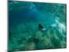 Woman Pretending to Be a Mermaid Swimming Underwater, Hawaii, USA-null-Mounted Photographic Print