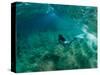 Woman Pretending to Be a Mermaid Swimming Underwater, Hawaii, USA-null-Stretched Canvas