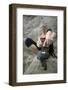 Woman Putting on Rock Climbing Shoes-Anthony West-Framed Photographic Print