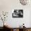 Woman Reading, 1960s-null-Photographic Print displayed on a wall