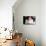 Woman reading the Bible at home, France, Europe-Godong-Photographic Print displayed on a wall