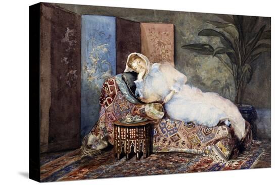 Stretched Canvas Print, , large