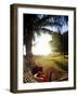 Woman Relaxing in Hammock, Hawaii, USA-Merrill Images-Framed Photographic Print