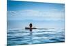 Woman Relaxing in Infinity Swimming Pool on Vacation-Splendens-Mounted Photographic Print