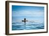 Woman Relaxing in Infinity Swimming Pool on Vacation-Splendens-Framed Photographic Print