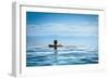 Woman Relaxing in Infinity Swimming Pool on Vacation-Splendens-Framed Photographic Print