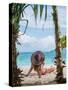 Woman Relaxing on the Beach in Thailand-Netfalls-Stretched Canvas