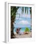 Woman Relaxing on the Beach in Thailand-Netfalls-Framed Photographic Print