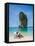 Woman Relaxing on the Beach on a Sunbed in Thailand-Netfalls-Framed Stretched Canvas