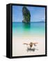 Woman Relaxing on the Beach on a Sunbed in Thailand-Netfalls-Framed Stretched Canvas