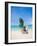 Woman Relaxing on the Beach on a Sunbed in Thailand-Netfalls-Framed Photographic Print