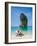 Woman Relaxing on the Beach on a Sunbed in Thailand-Netfalls-Framed Photographic Print