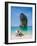 Woman Relaxing on the Beach on a Sunbed in Thailand-Netfalls-Framed Photographic Print