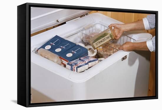 Woman Removing Food from Freezer-William P. Gottlieb-Framed Stretched Canvas