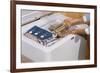 Woman Removing Food from Freezer-William P. Gottlieb-Framed Photographic Print